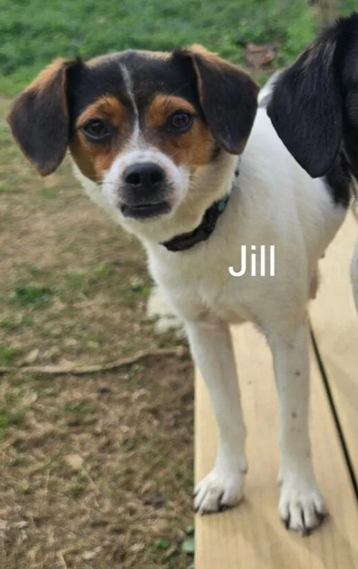 Jill