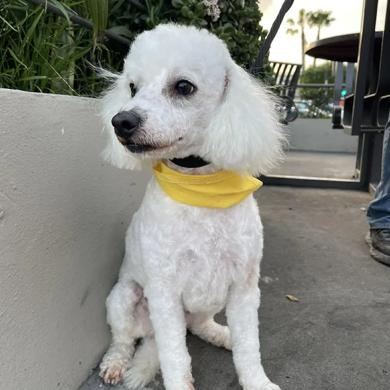 Fred  Yrs  thumbnail 2