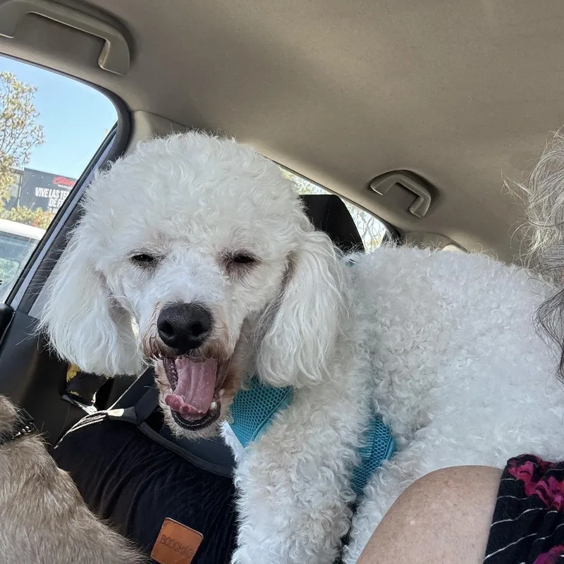 Fred  Yrs  thumbnail 3