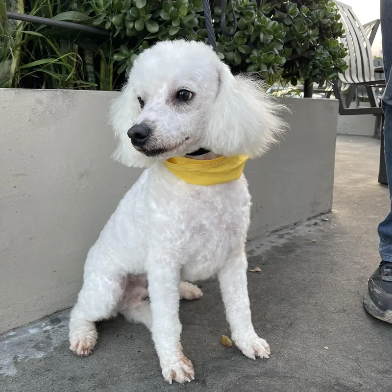 Fred  Yrs  thumbnail 4