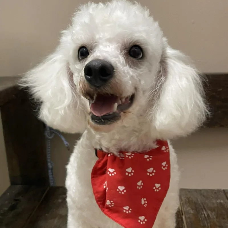 Fred  Yrs  thumbnail 6