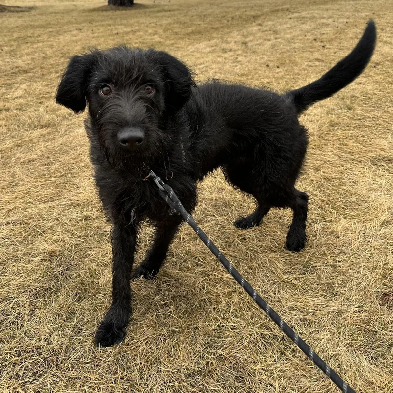 Swan Home Visit In thumbnail 5