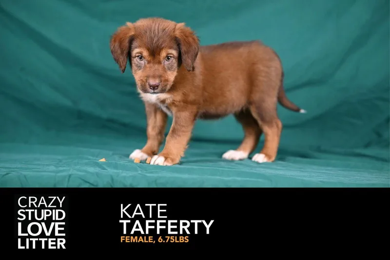 Kate Tafferty thumbnail 2