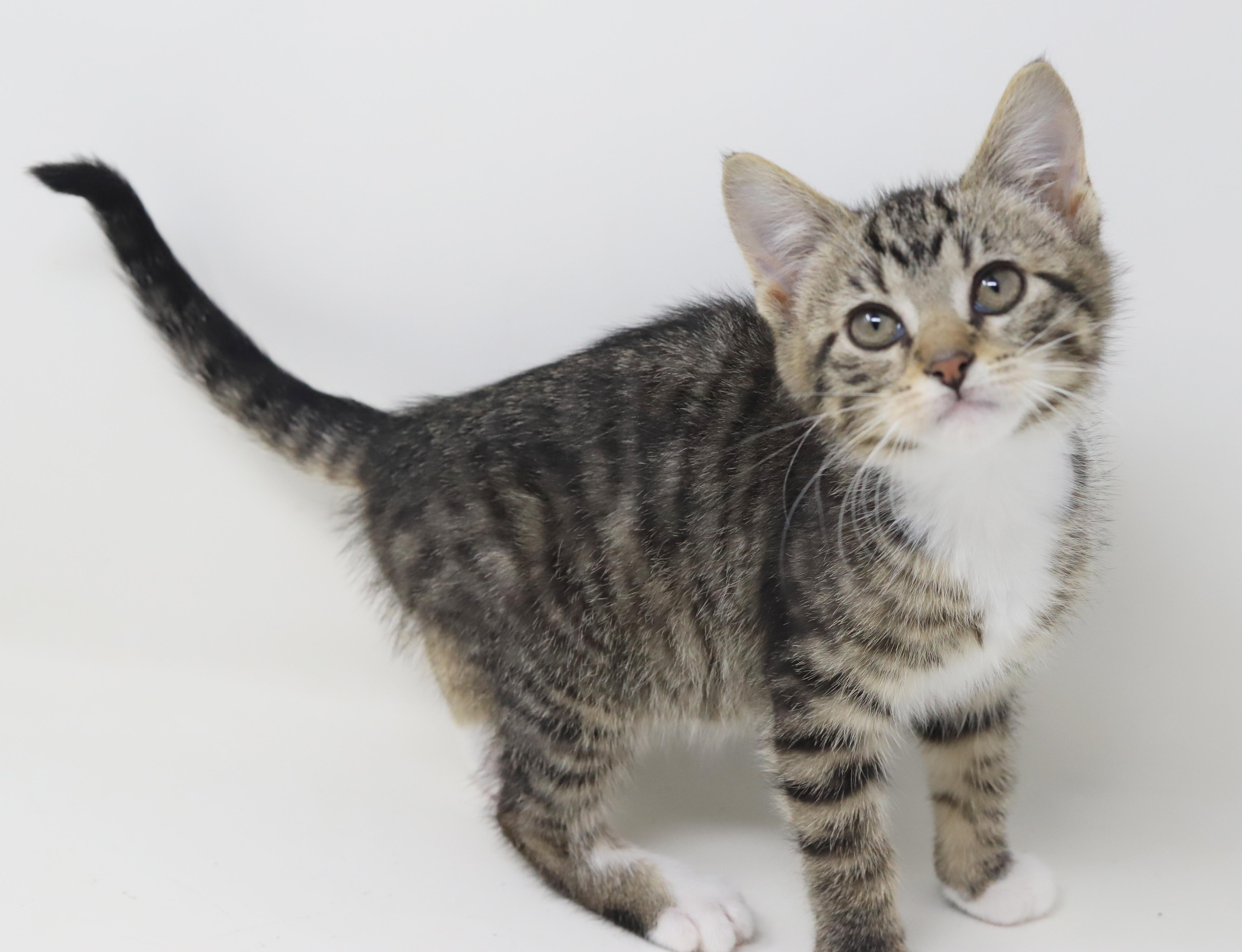 Wine Is Simply Wonderful! thumbnail 2