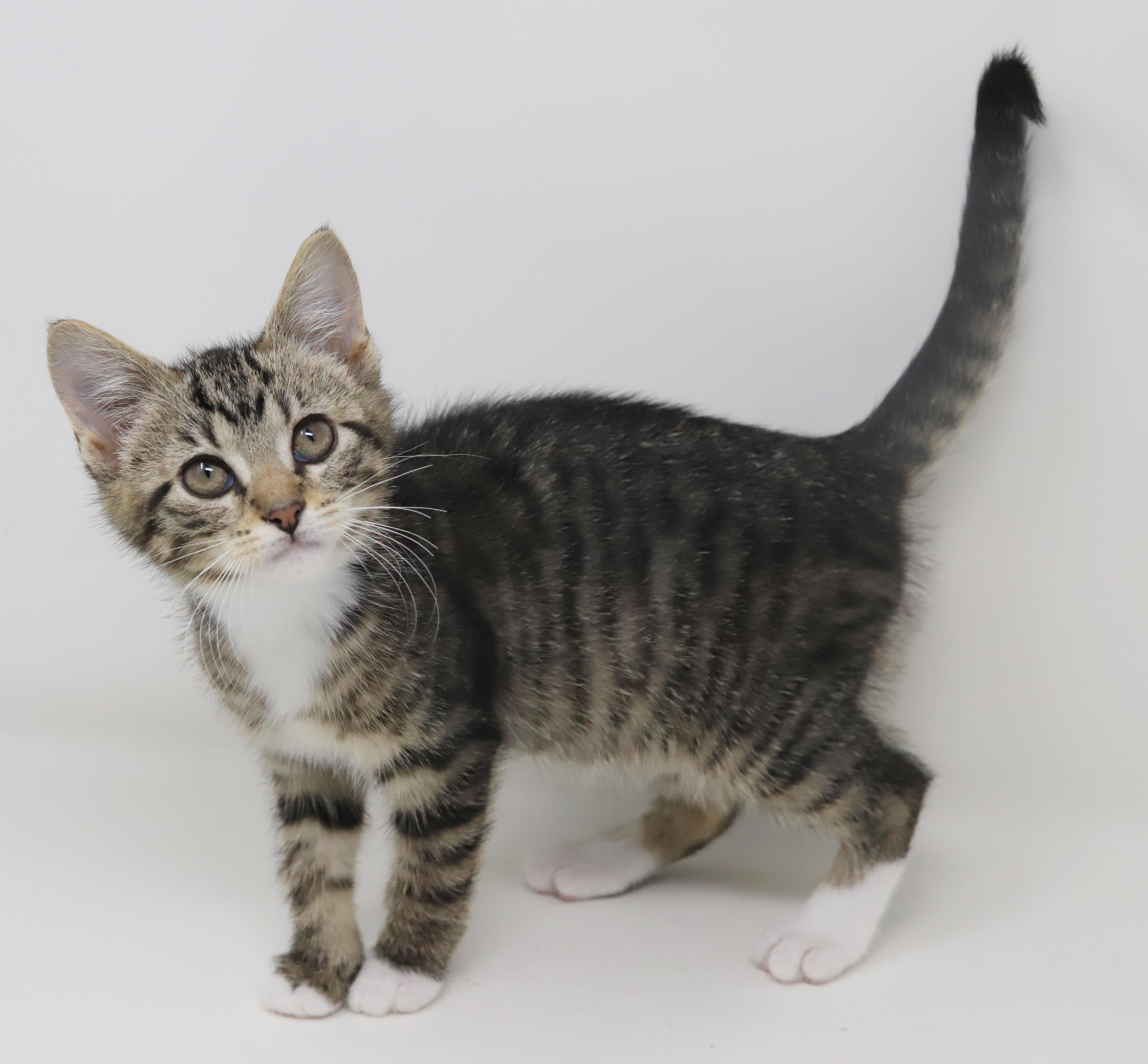 Wine Is Simply Wonderful! thumbnail 3