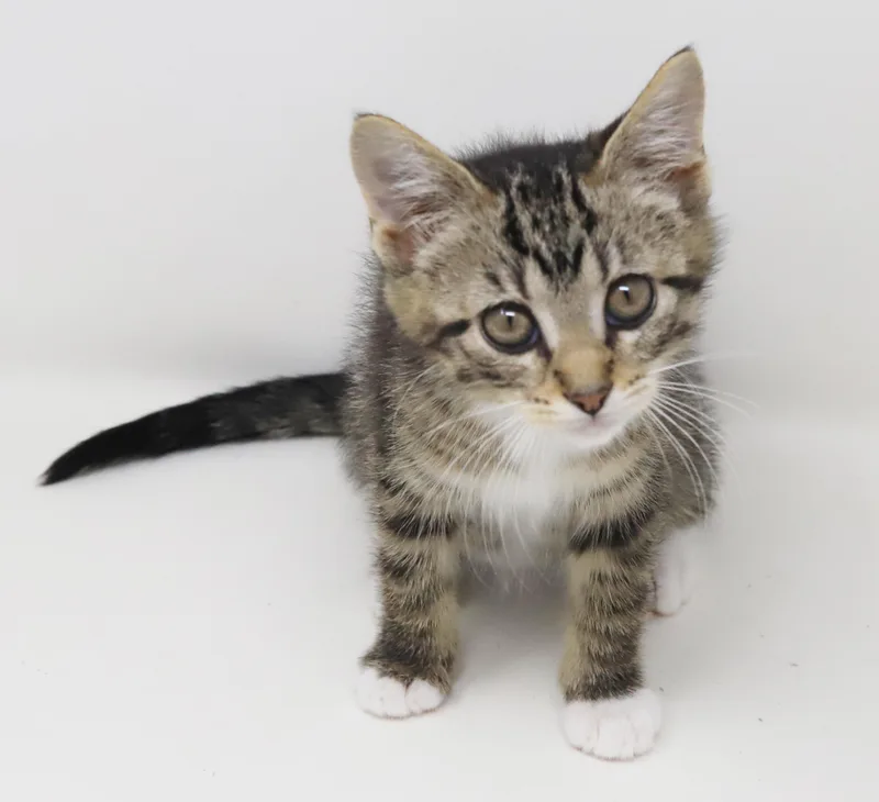 Wine Is Simply Wonderful! thumbnail 4