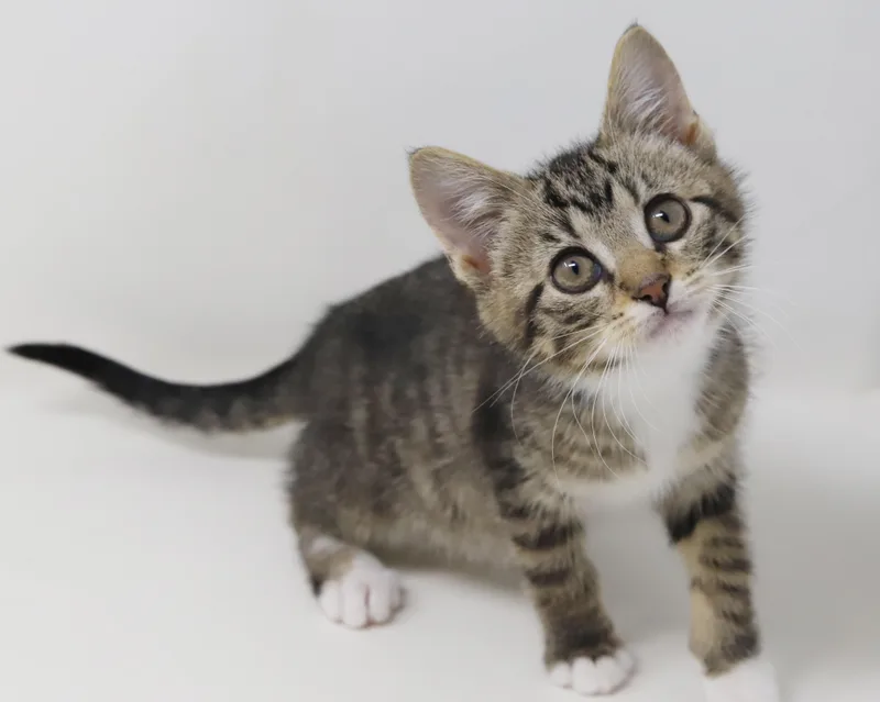 Wine Is Simply Wonderful! thumbnail 5