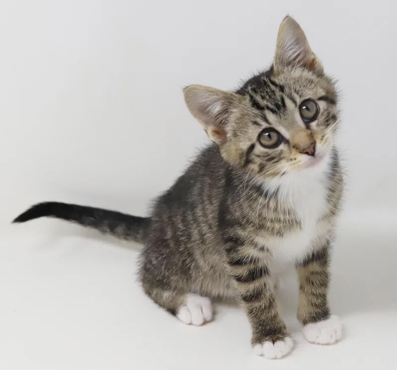 Wine Is Simply Wonderful! thumbnail 6