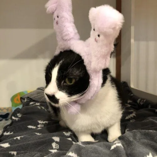 Edgar