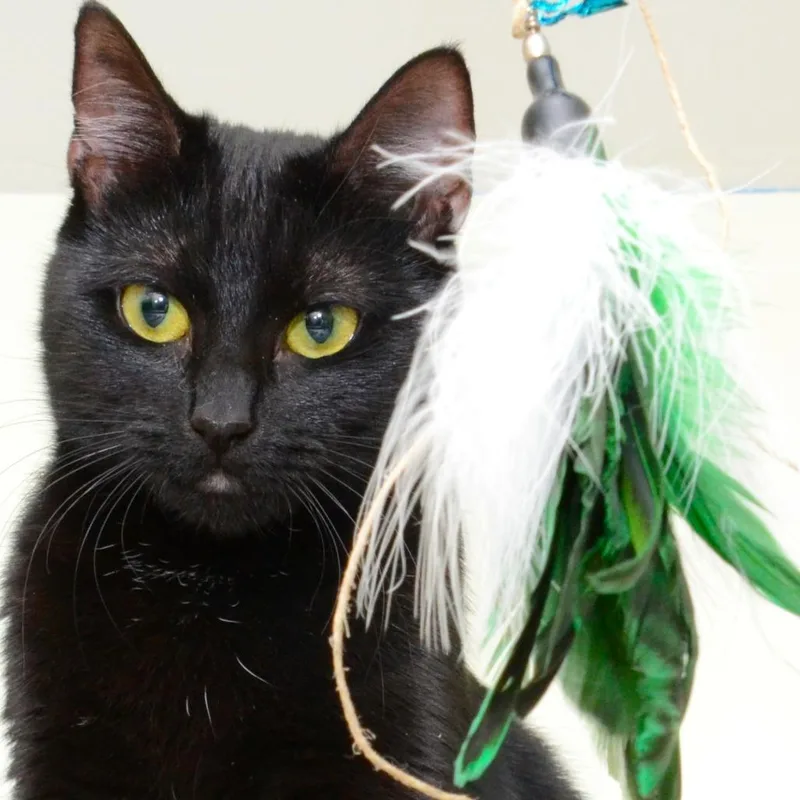 Riley Javier thumbnail 2