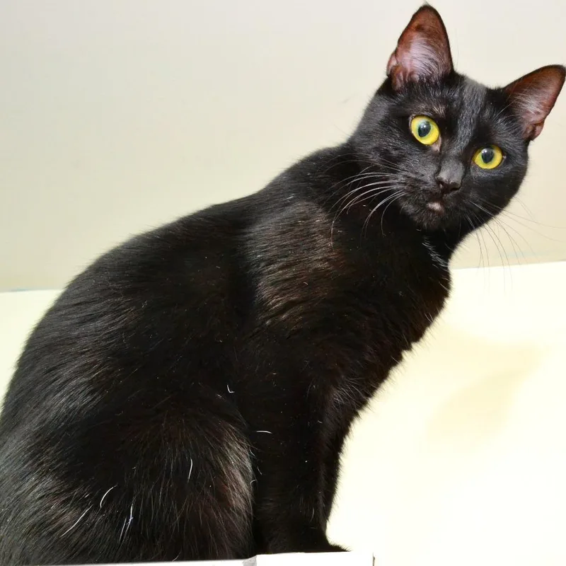 Riley Javier thumbnail 3