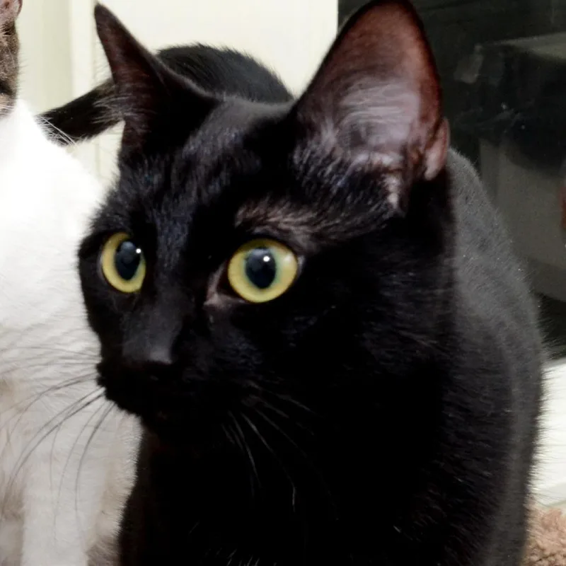 Riley Javier thumbnail 4