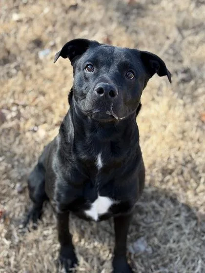 Mercedes thumbnail 2