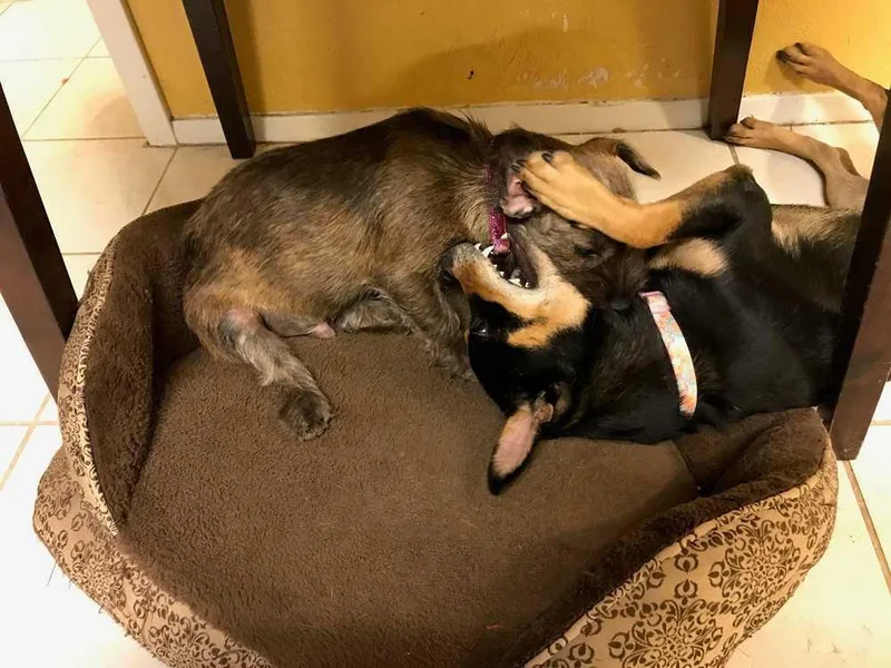 Lady Gaga thumbnail 3