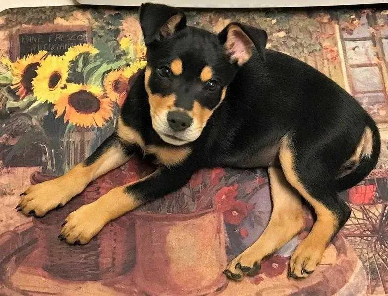 Lady Gaga thumbnail 6