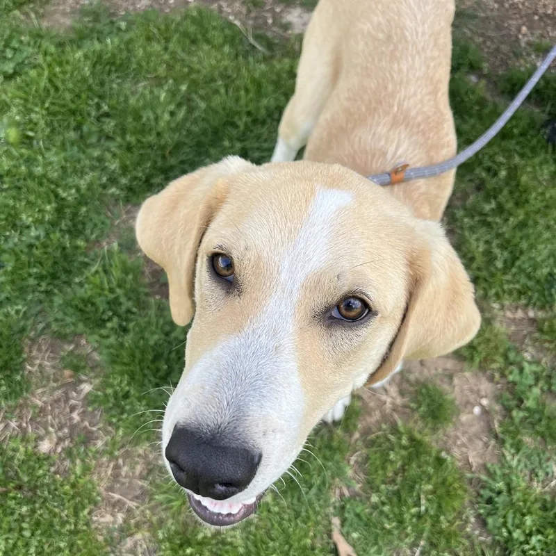 True Friend thumbnail 3