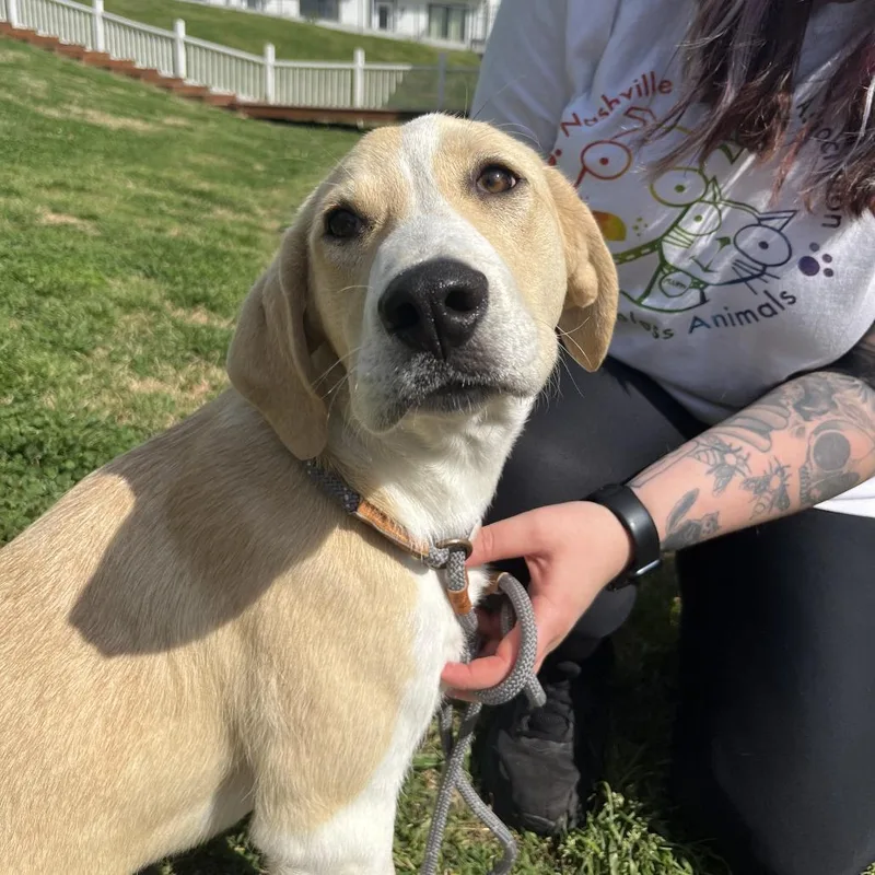 True Friend thumbnail 4