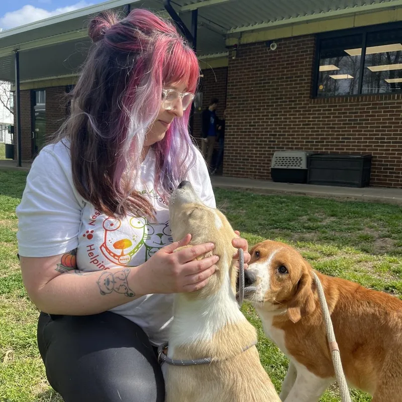 True Friend thumbnail 6