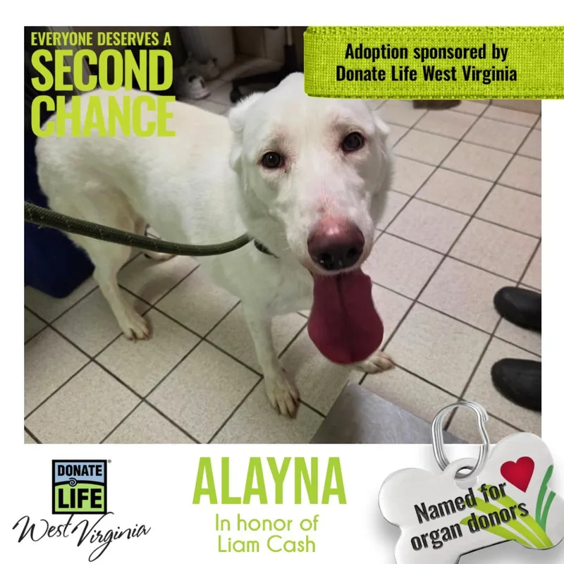 Alayna Fka Max thumbnail 2