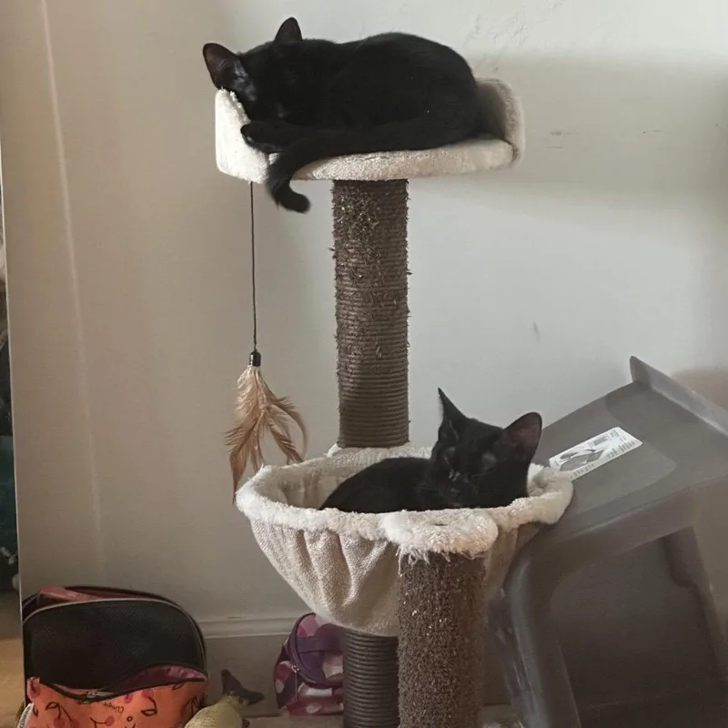 Mike Wazowski thumbnail 4