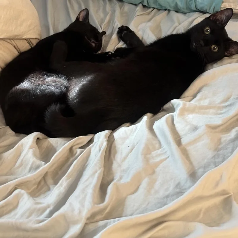 Mike Wazowski thumbnail 5