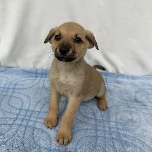 Little Einstein