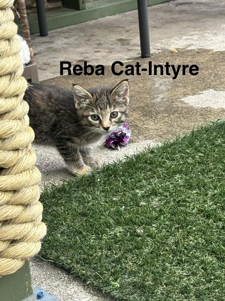 Reba CatIntyre