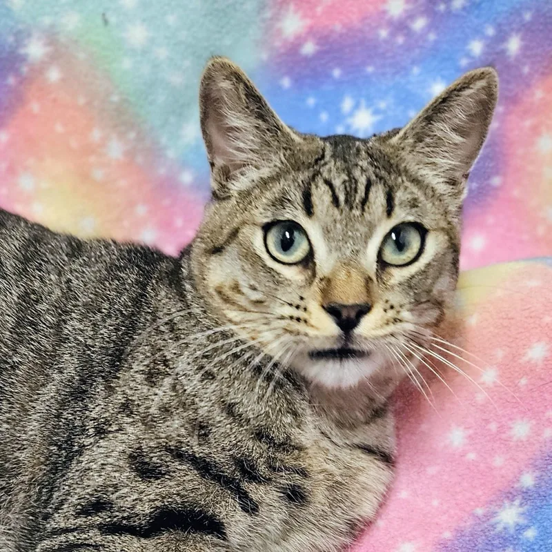 Oscar  Rancho Cucamonga thumbnail 2