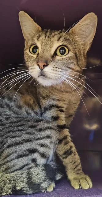 Mama