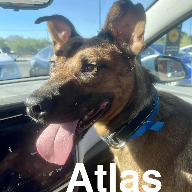 Atlas thumbnail 3
