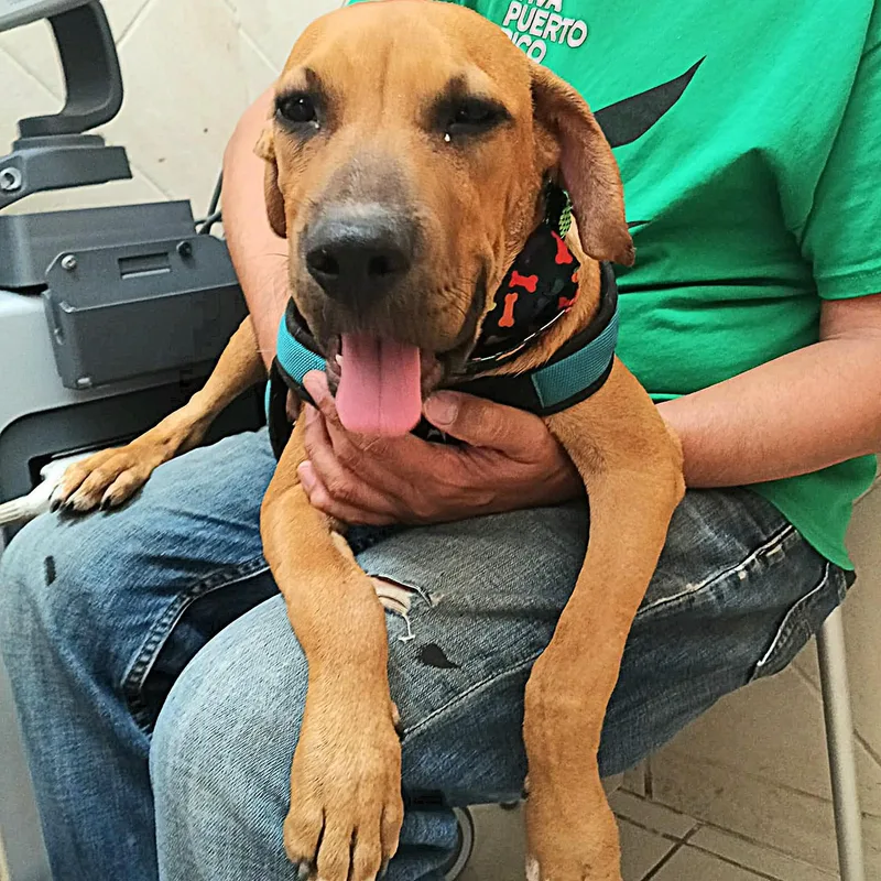 Macu "my Forever Home thumbnail 5