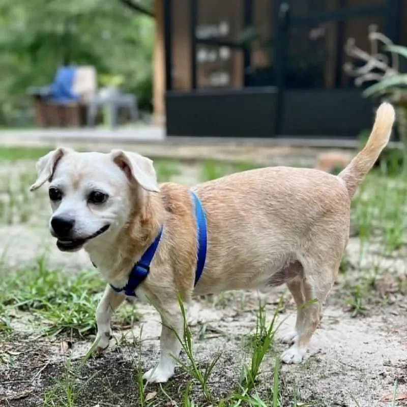 Jackson