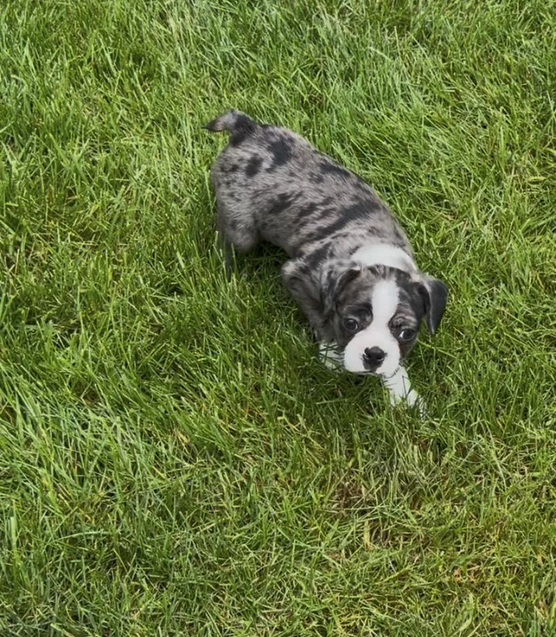 Ernie thumbnail 6