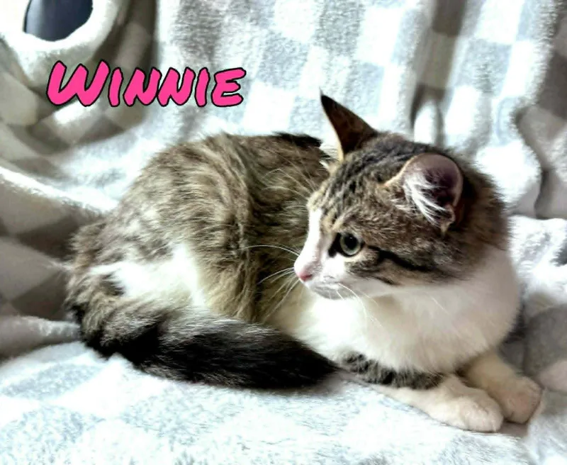 Winnie thumbnail 2