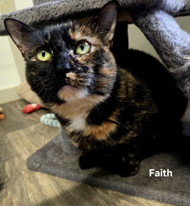Faith