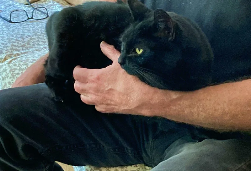 Kiki  Offered By thumbnail 2