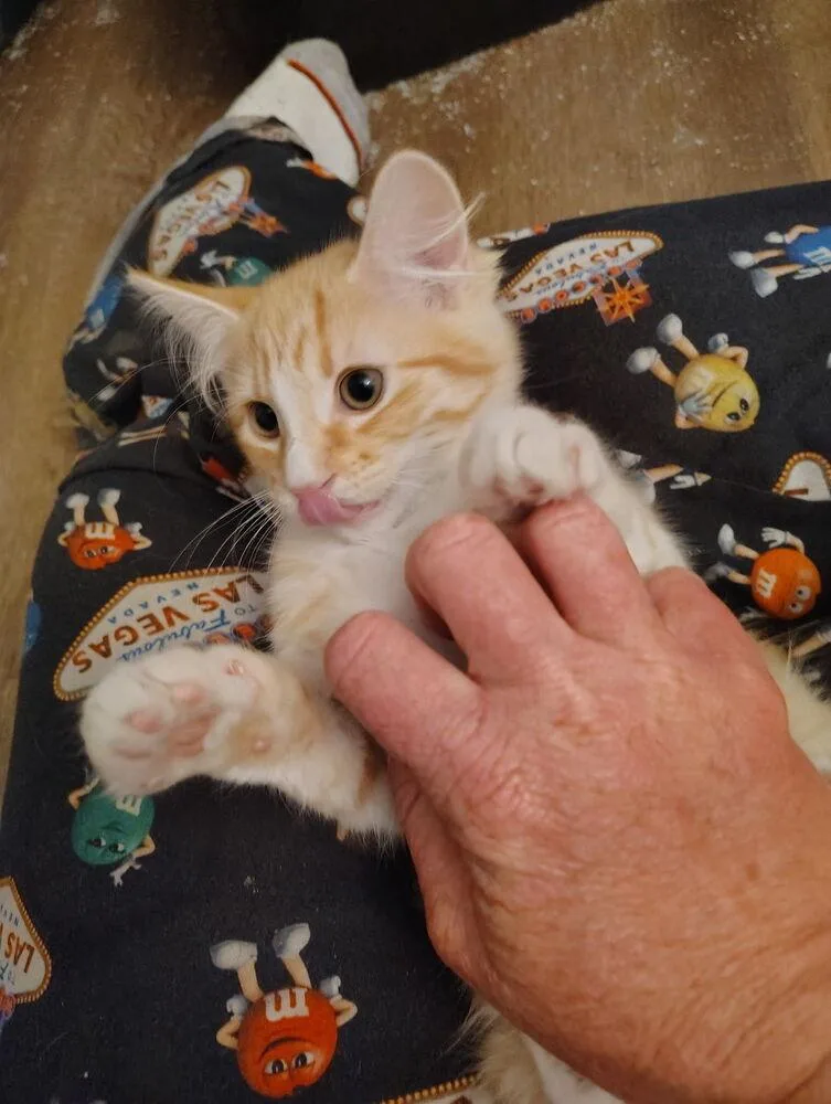 Butterfingers thumbnail 2