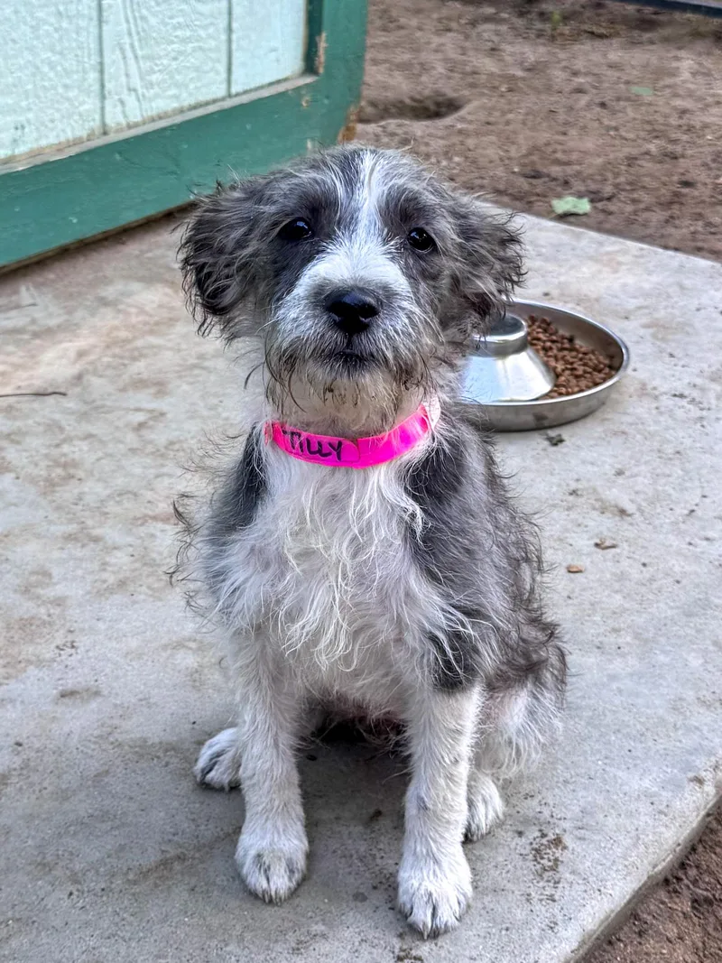 Baby Tilly thumbnail 2