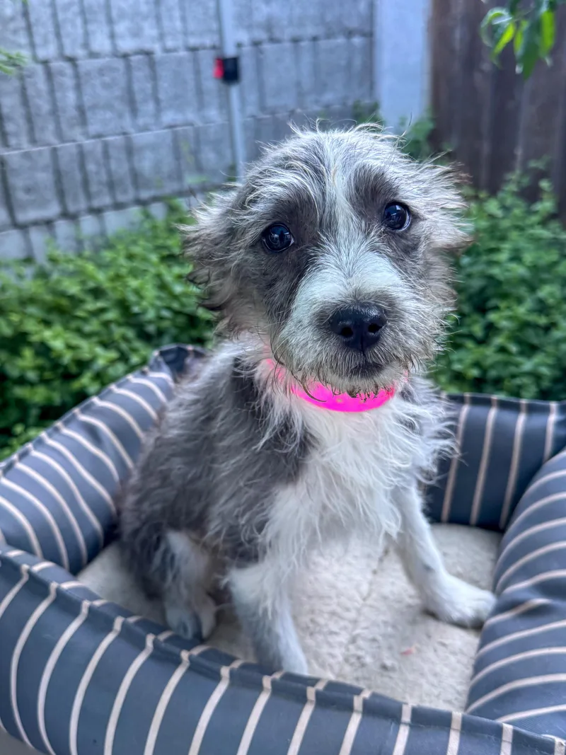 Baby Tilly thumbnail 3