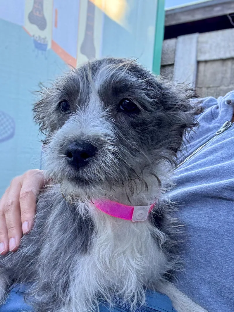 Baby Tilly thumbnail 4