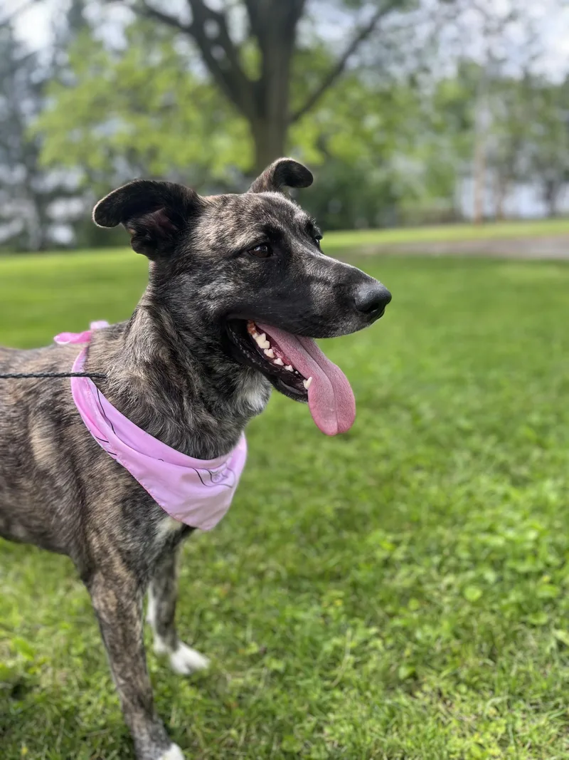 Bella