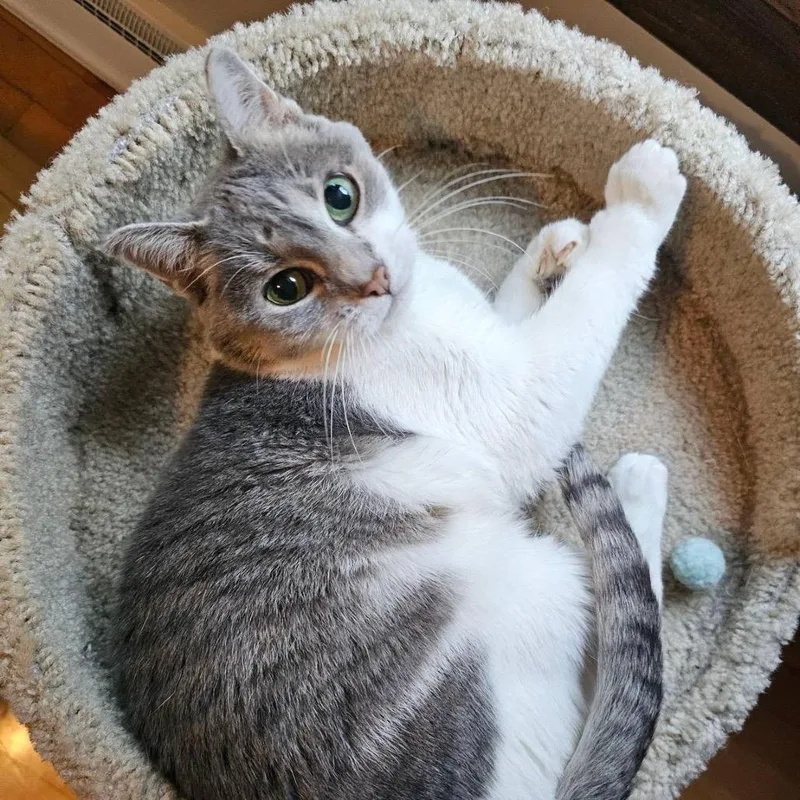 Gracie Mae C thumbnail 3