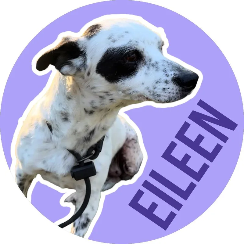 Eileen thumbnail 4