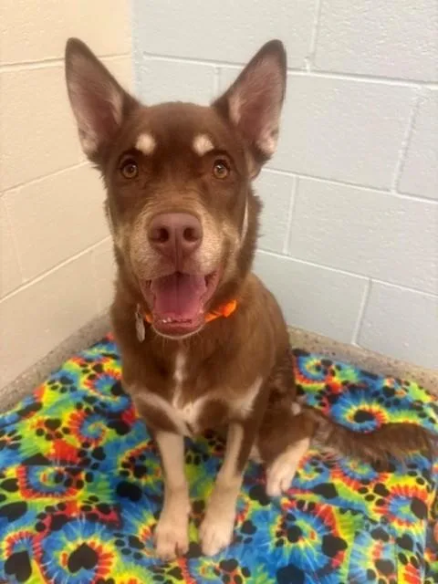 Kenai