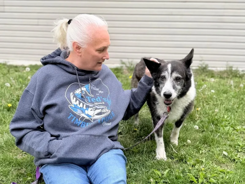 A senior medium-sized female Mixed Breed dog named Bailey for adoption in Menomonie, WI