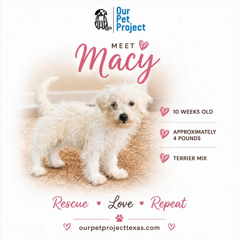 Macy thumbnail 5