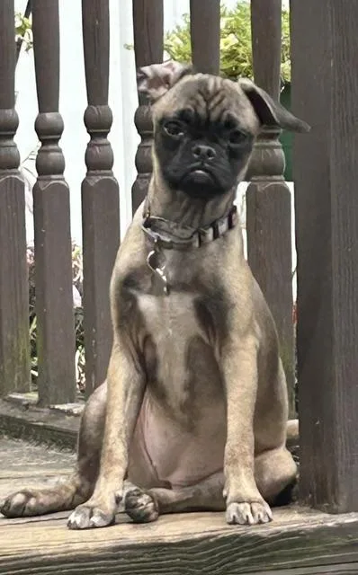 Judge Judy thumbnail 5