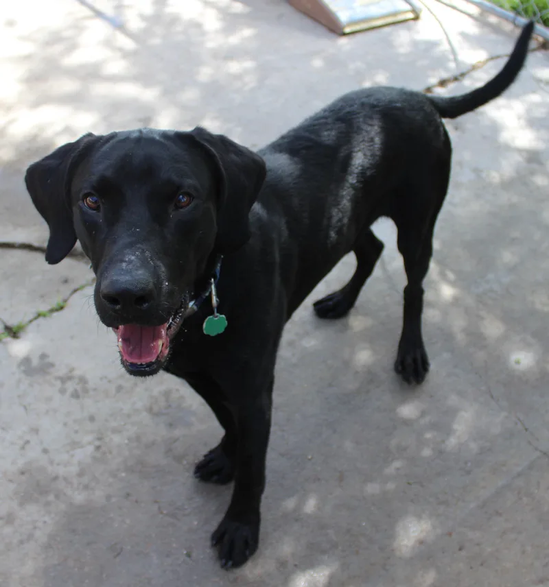 River thumbnail 2