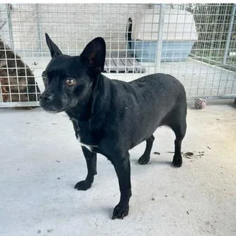 Cassanova thumbnail 2