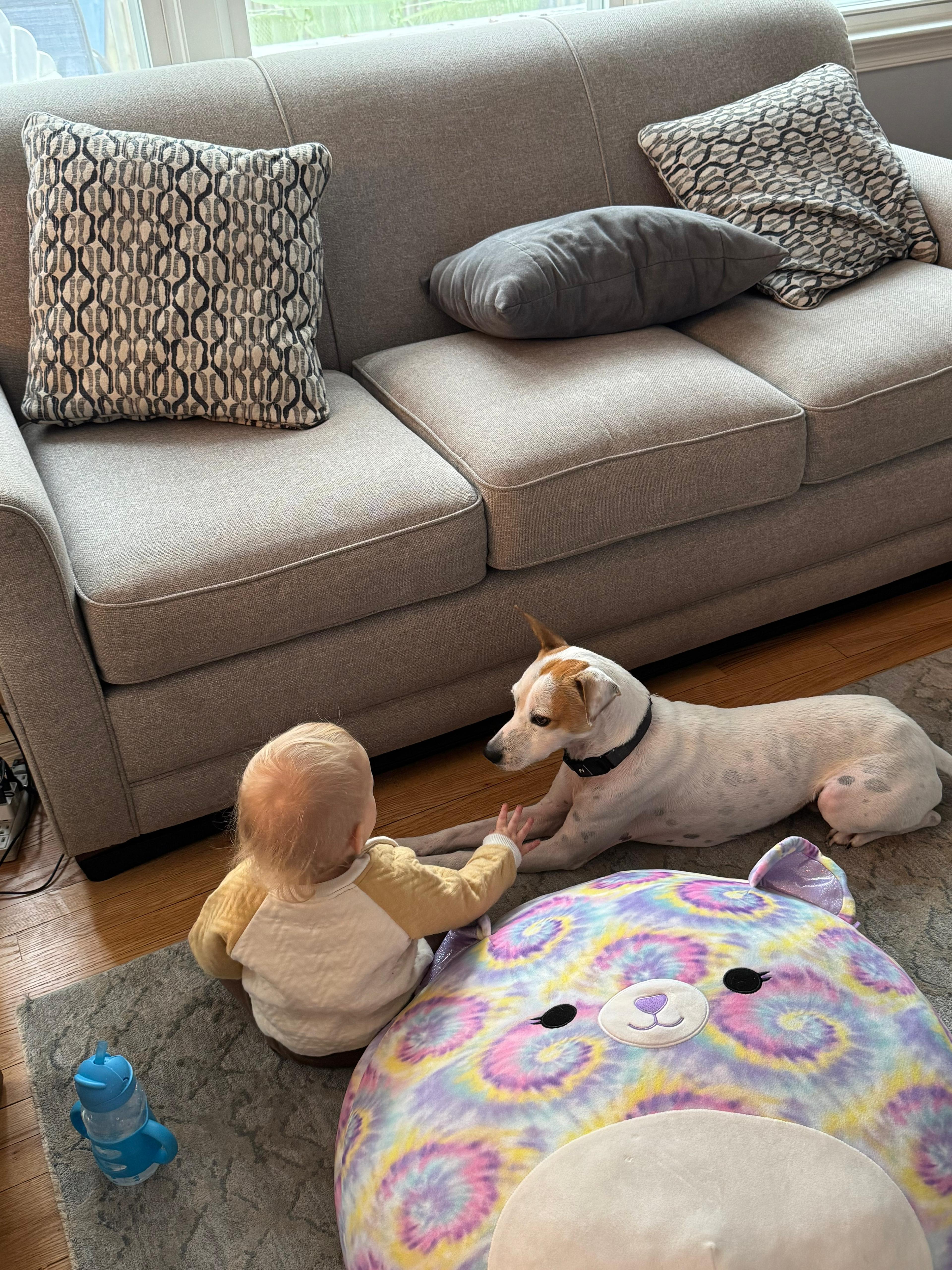 Milo  Great With thumbnail 5